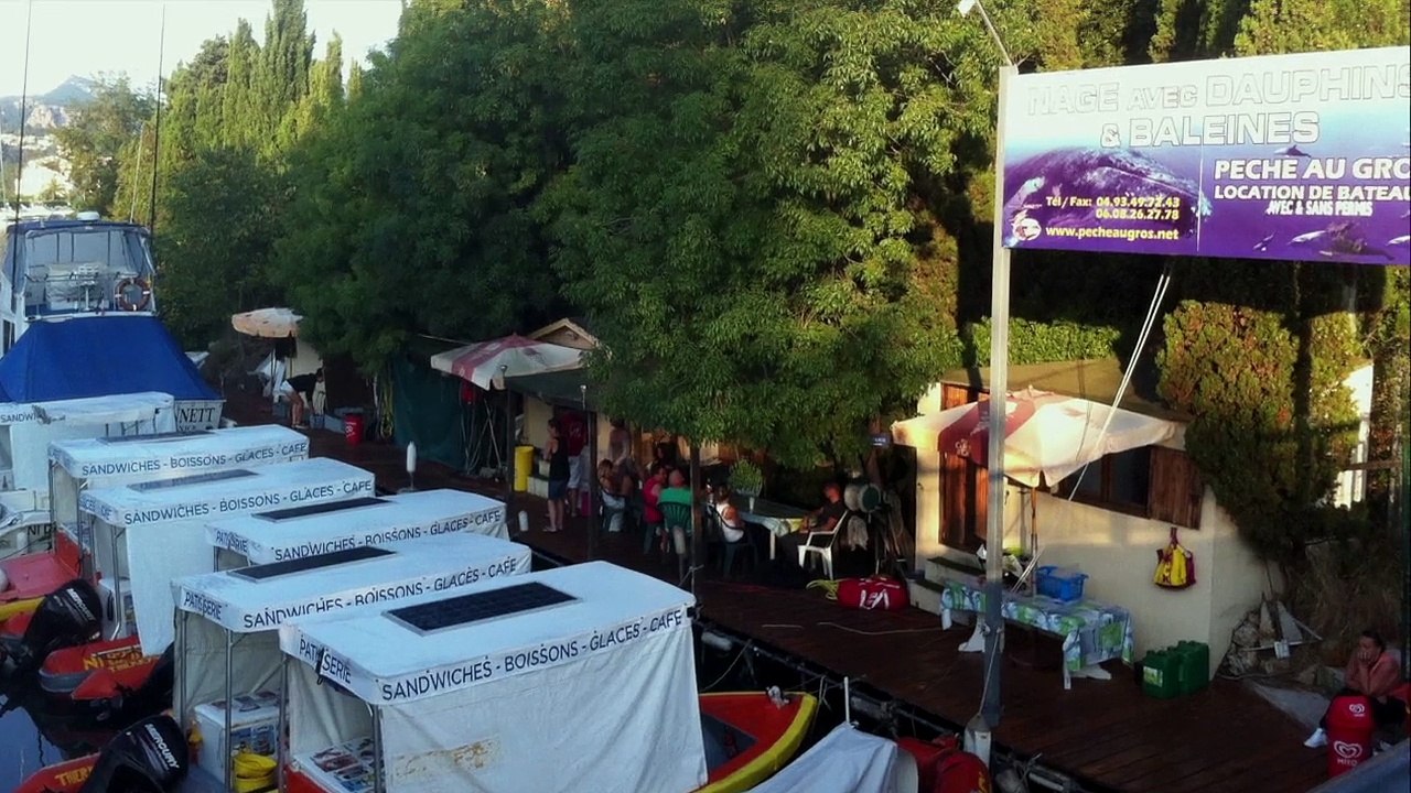 Nager avec les Dauphins 12 août 2014 - Bateau Annett à Cannes – Mandelieu en France