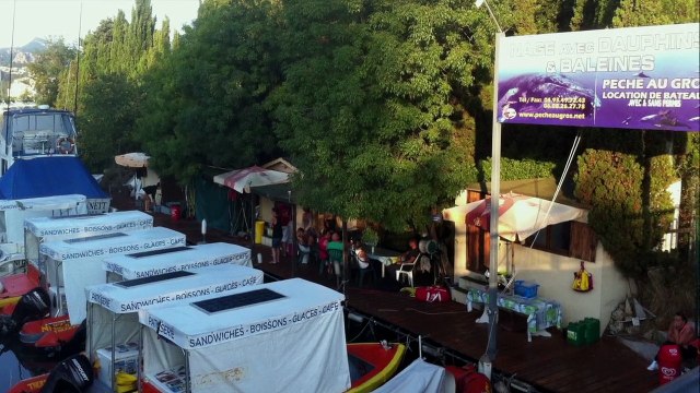 Nager avec les Dauphins 12 août 2014 - Bateau Annett à Cannes – Mandelieu en France