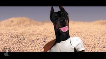 Star Wars Episode VII : The Force Awakens (édition Chiots et Chatons)