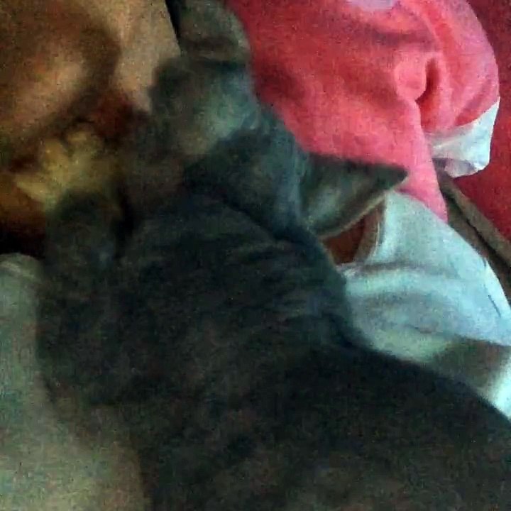 Câlins du matin de Joée