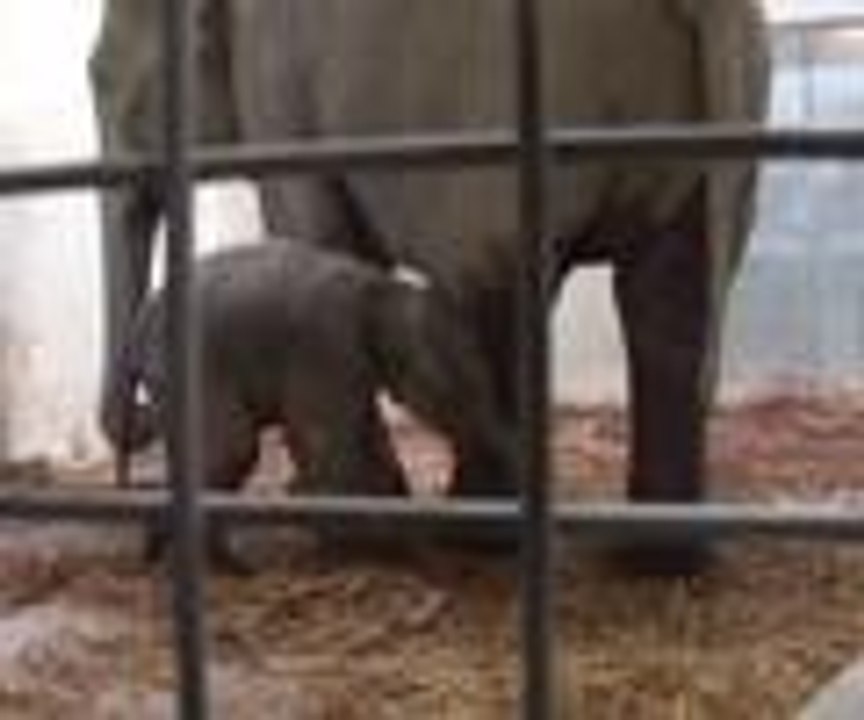 Deniz ziyaretçi sayısını patlattı