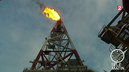 Les compagnies aériennes profitent de la baisse du prix des carburants