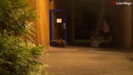 "Perro araña mutante" siembra pánico en su comunidad