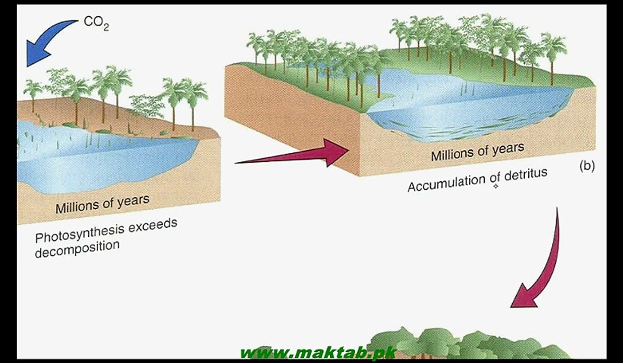 FSc Chemistry Book2, CH 7, LEC 5 Natural Gas Sources of Organic Compounds (Part 2)