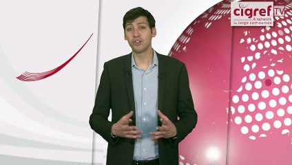 Cigref TV, Xerfi Canal Management in the Age of Network Abundance