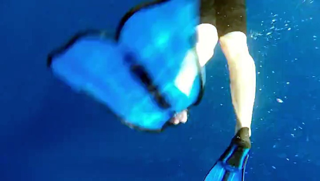 Nager avec les Dauphins 14 juillet 2014 - Bateau Annett à Cannes – Mandelieu en France