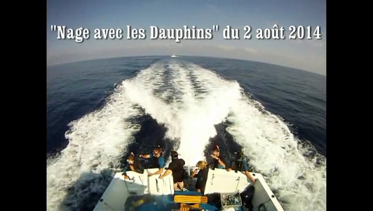 Nager avec les Dauphins 2 août 2014 - Bateau Annett à Cannes – Mandelieu en France