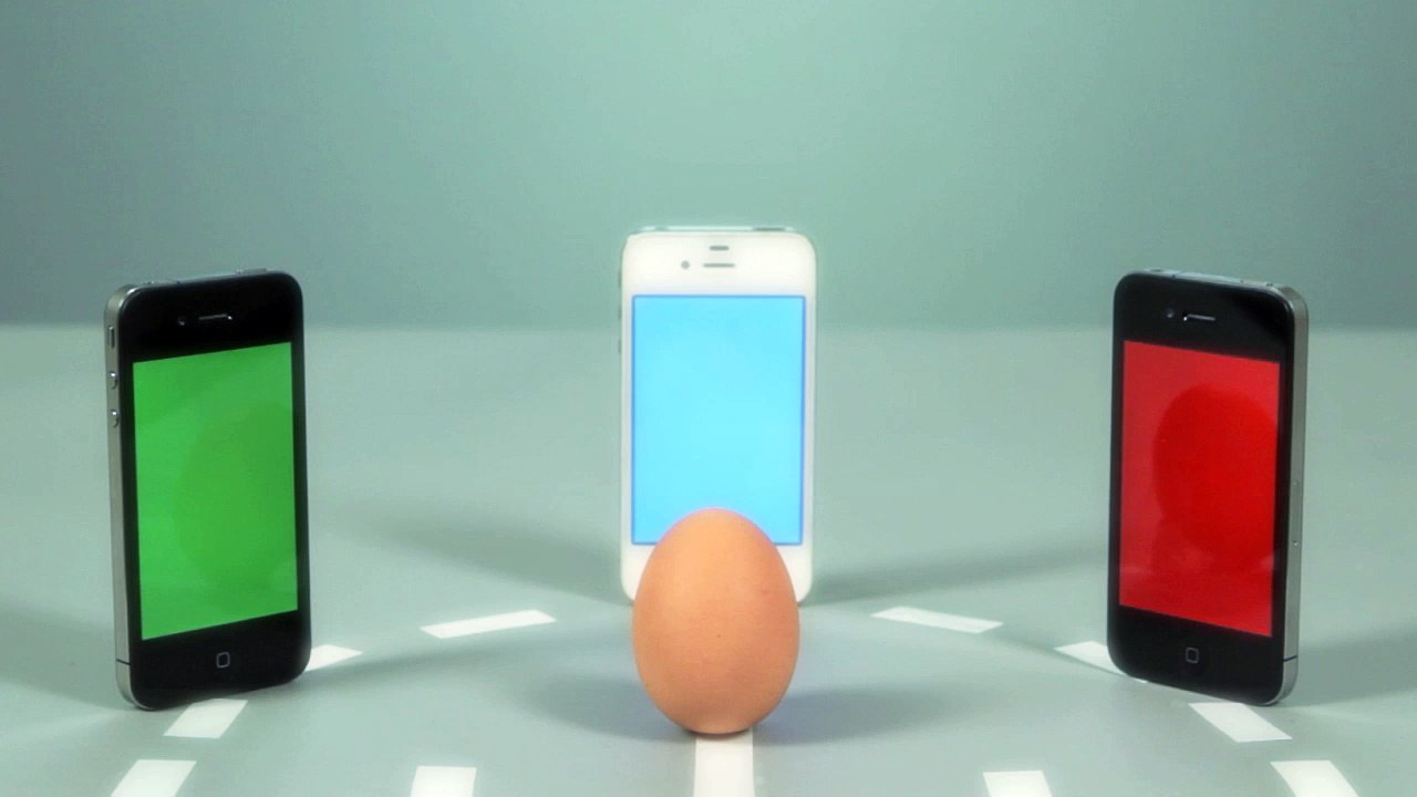 DAY #11 | L'ŒUF OU LA POULE ?