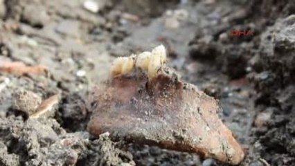 Yol Çalışması Sırasında İnsan Kemikleri Bulundu