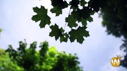 MOTIVATED VERSION OF AWESOME PEOPLE 2014