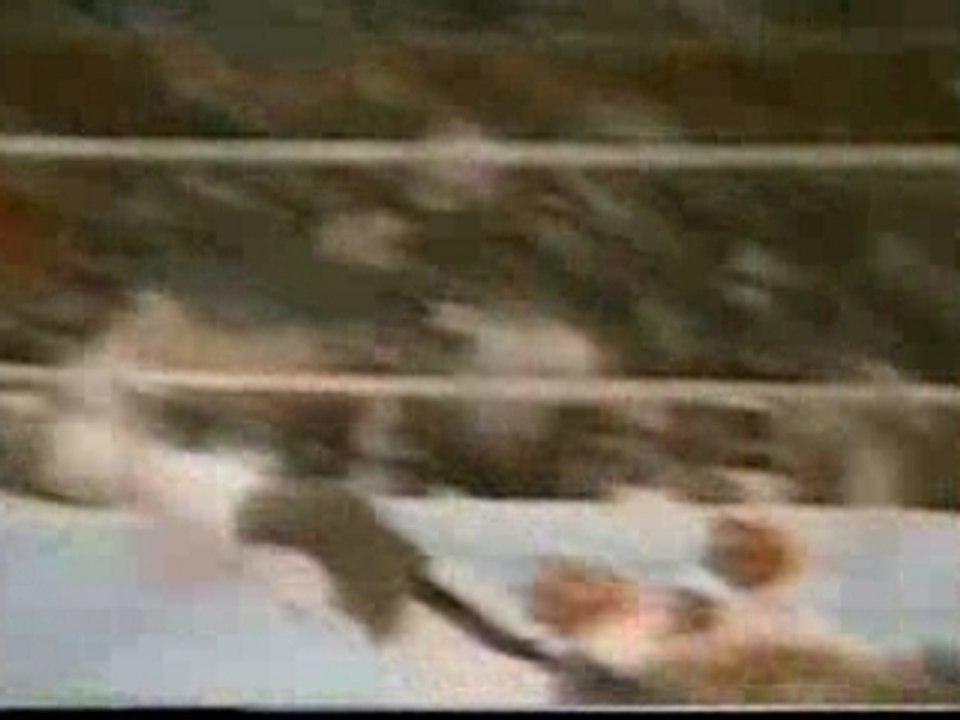 mike tyson ko