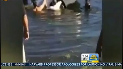 Sinking Car Dramatic Rescue  Salvatore Mancuso