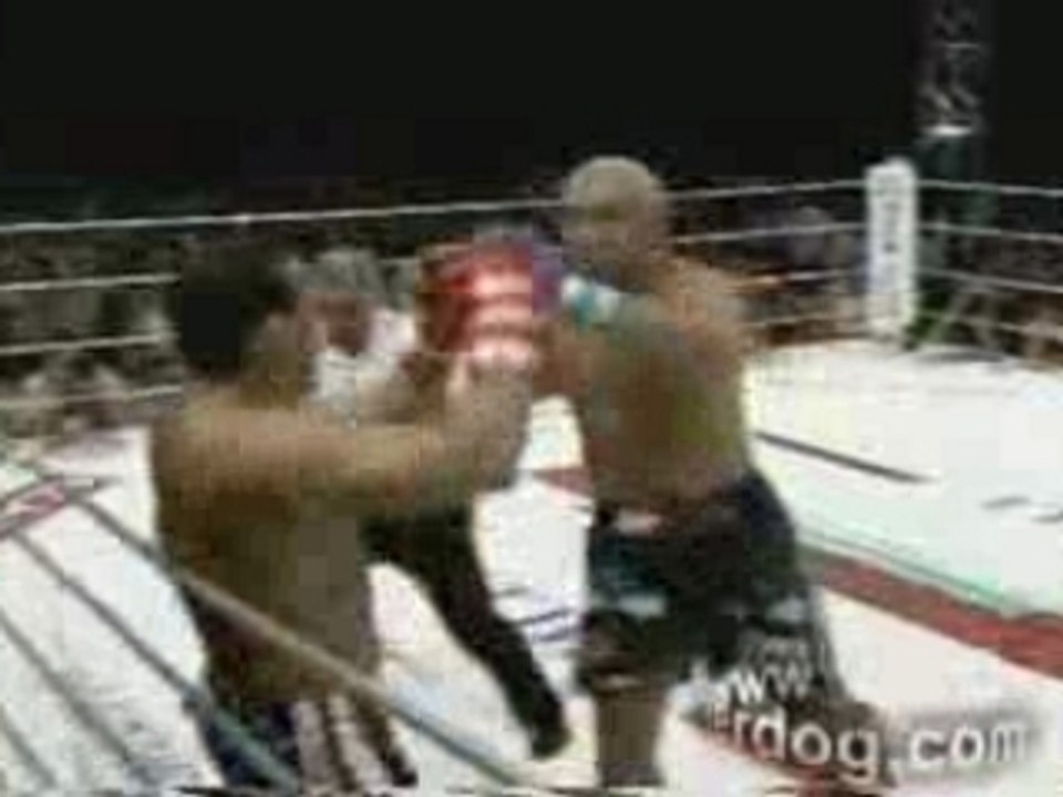 UFC - Best of Jerome lebanner K1