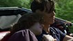 Mildred Pierce Trailer #1 (HBO)