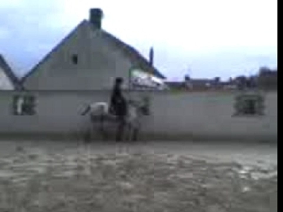 moi et amazone