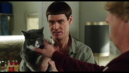 DUMB & DUMBER DE Extrait Le colloc VF