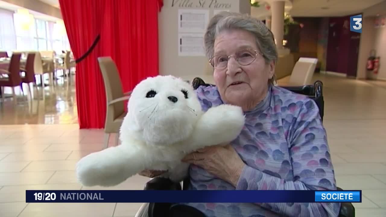 Le peluche robot PARO arrive en France