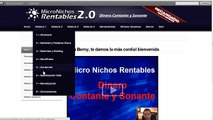 Negocios Por Internet - Micro Nichos rentables 2.0
