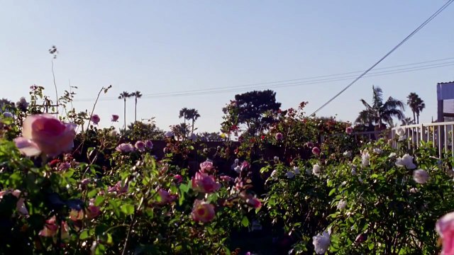 Enlightened Season 1_ Inside The Episode - Episode #3