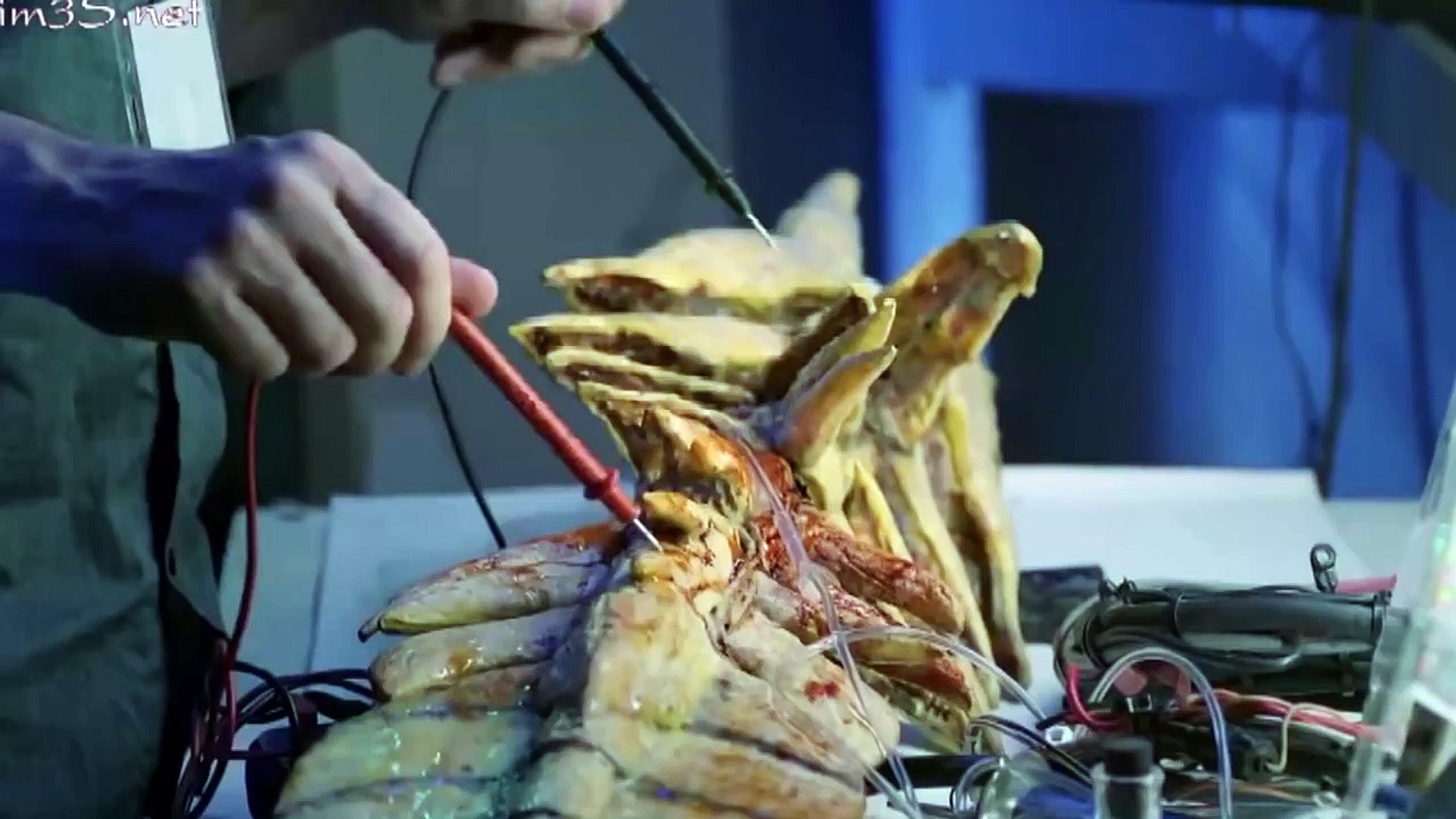 Action Movie Hollywood Comedy 2014 Full Movie - New American Movies - Best Horror, Sci Fi Movie