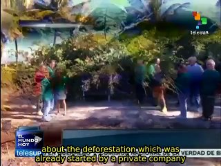 Activists protest planned deforestation of coastal zone in Puerto Rico