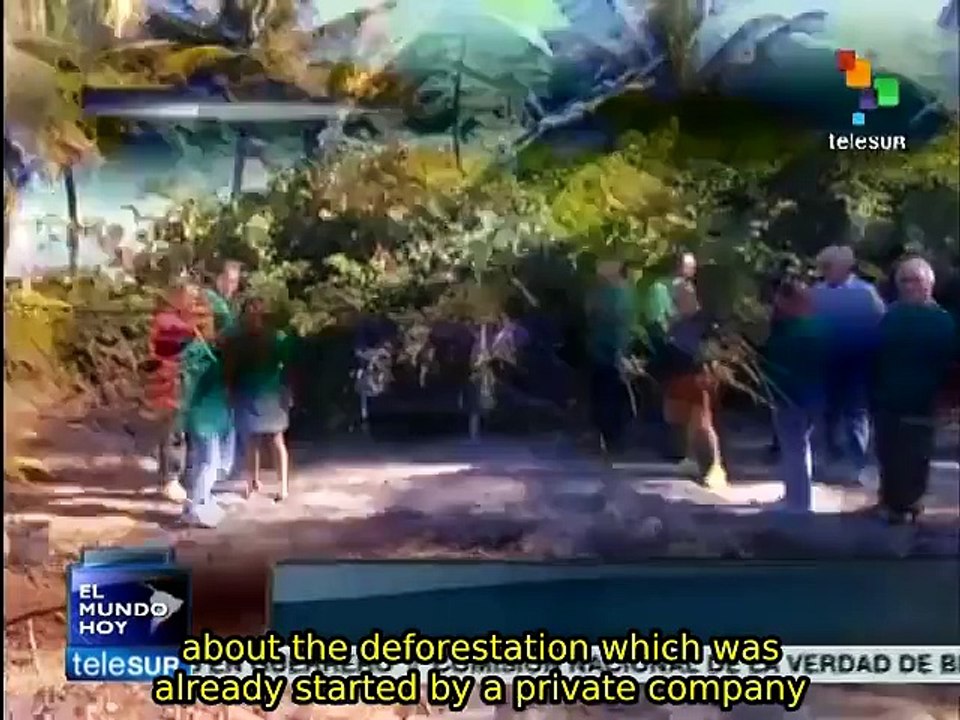 Activists protest planned deforestation of coastal zone in Puerto Rico