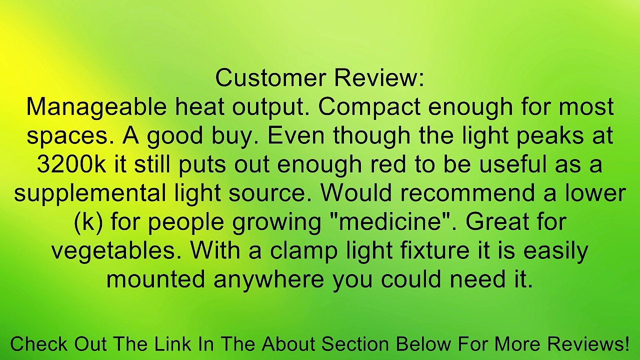 Hydroponic Full Spectrum 3200K Warn CFL Grow Light Bulb 60 Watt Bulb 60W3200K Review