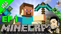 Let's Play Minecraft Episode 1 The Begining