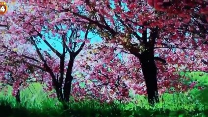 Or Action Movie The Dark Knight Film American New TOP One