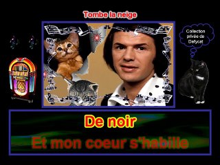 Adamo - Tombe la neige.