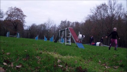 2014-12-10 Eclipse Back to Running Dogwalk 23rd training