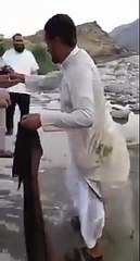 ھاھاھا شغل چیک کرو