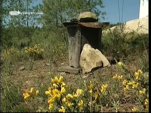 Horizontes da Memória - Coraçao de Trás-os-Montes (Macedo de Cavaleiros) - 2002