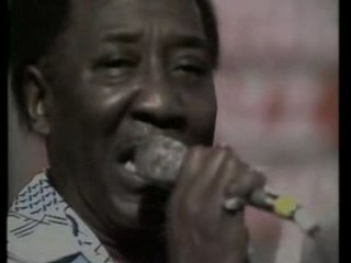Muddy Waters