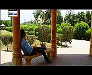 Nazdeekiyan Episode 7 Full on Ary Digital - December 4