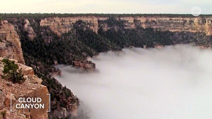 Watch These Clouds Fill Up The Grand Canyon Like It's A Bathtub