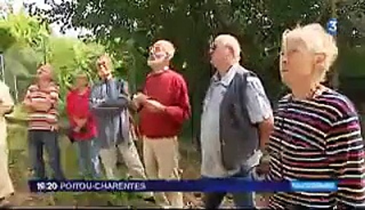 L'arbre de l'année 2014