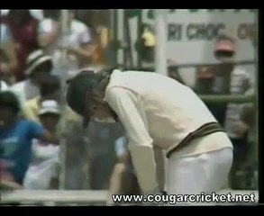 A Very Funny Cricket Dismissal _ Tune.pk