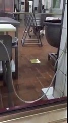Restaurant worker caught throwing dough on the floor in Saudi Arabia