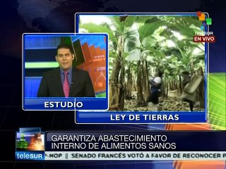 Problema de la tierra en Ecuador es de larga data, explica experto