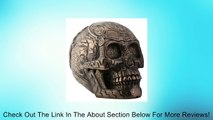 Aztec Skull Skeleton Bronze Color Resin Collectible Statue Figurine Review