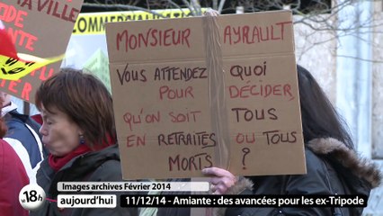 Amiante / Marché des créateurs / Serre des Canaries