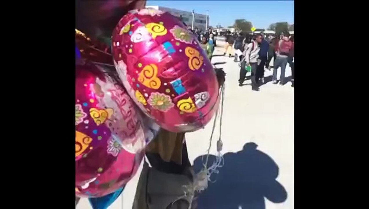 Top 80 Vine Girls    BestVine