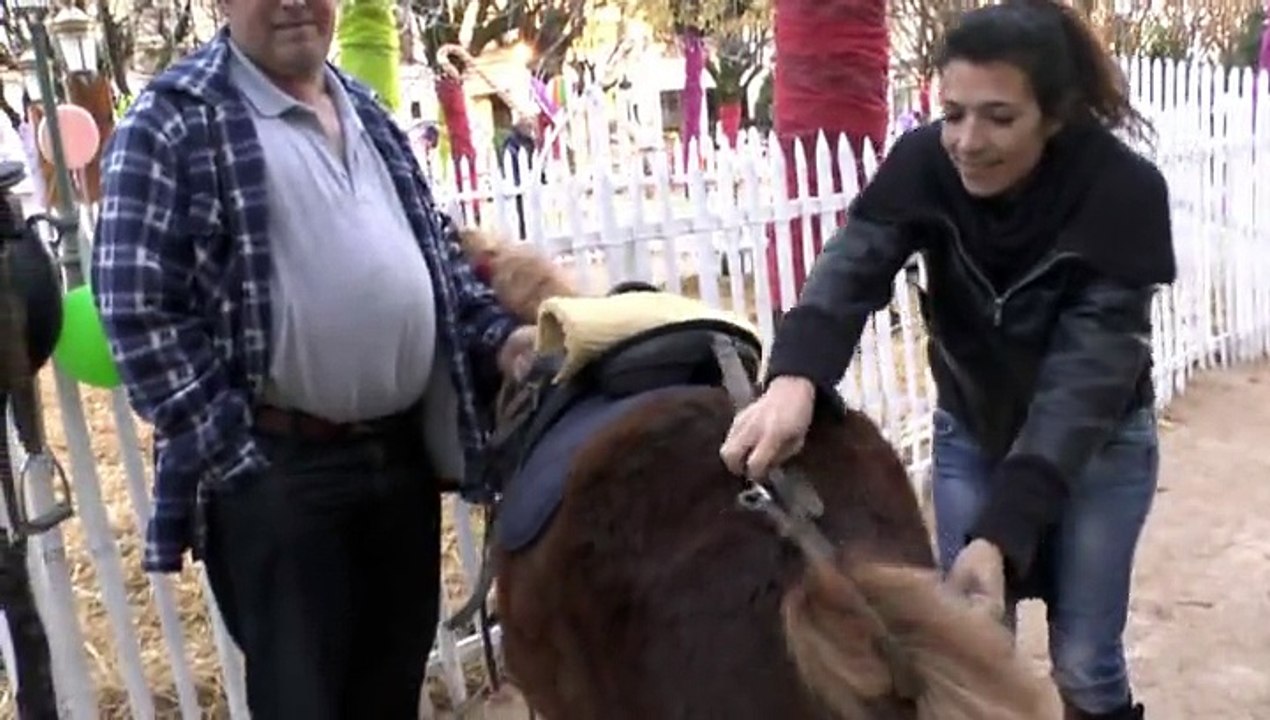 MICHOU W-D.D. PRÉSENTE - 9 DÉCEMBRE 2014 - PAU -  NOËL ANGLAIS - BALADES EN PONEY AU VILLAGE ENCHANTÉ.