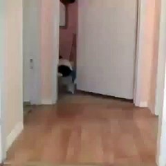 Best Of Vine Can Someone Explain This 2014!!!