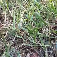 Extreme Vine Compilation 300 Vines! BEST OF 2014