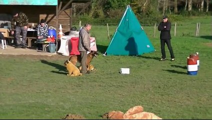 Gadjo, Mondioring 1, Tresses2014