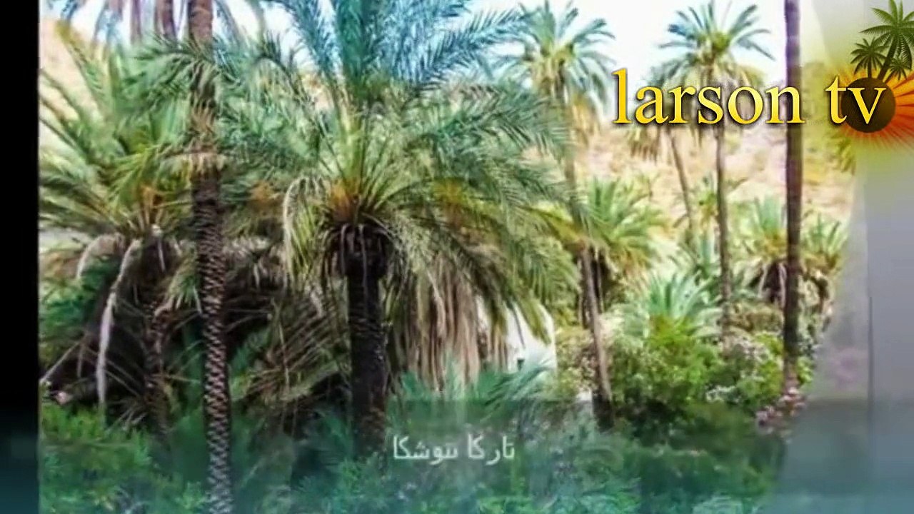 oasis TARGUA NTOUCHKA chtouka ait baha