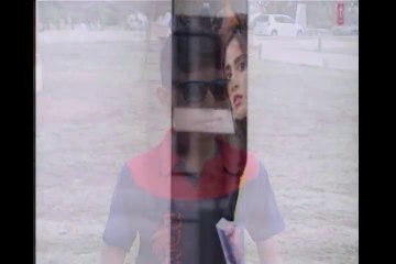 palat tera hero idhar ha