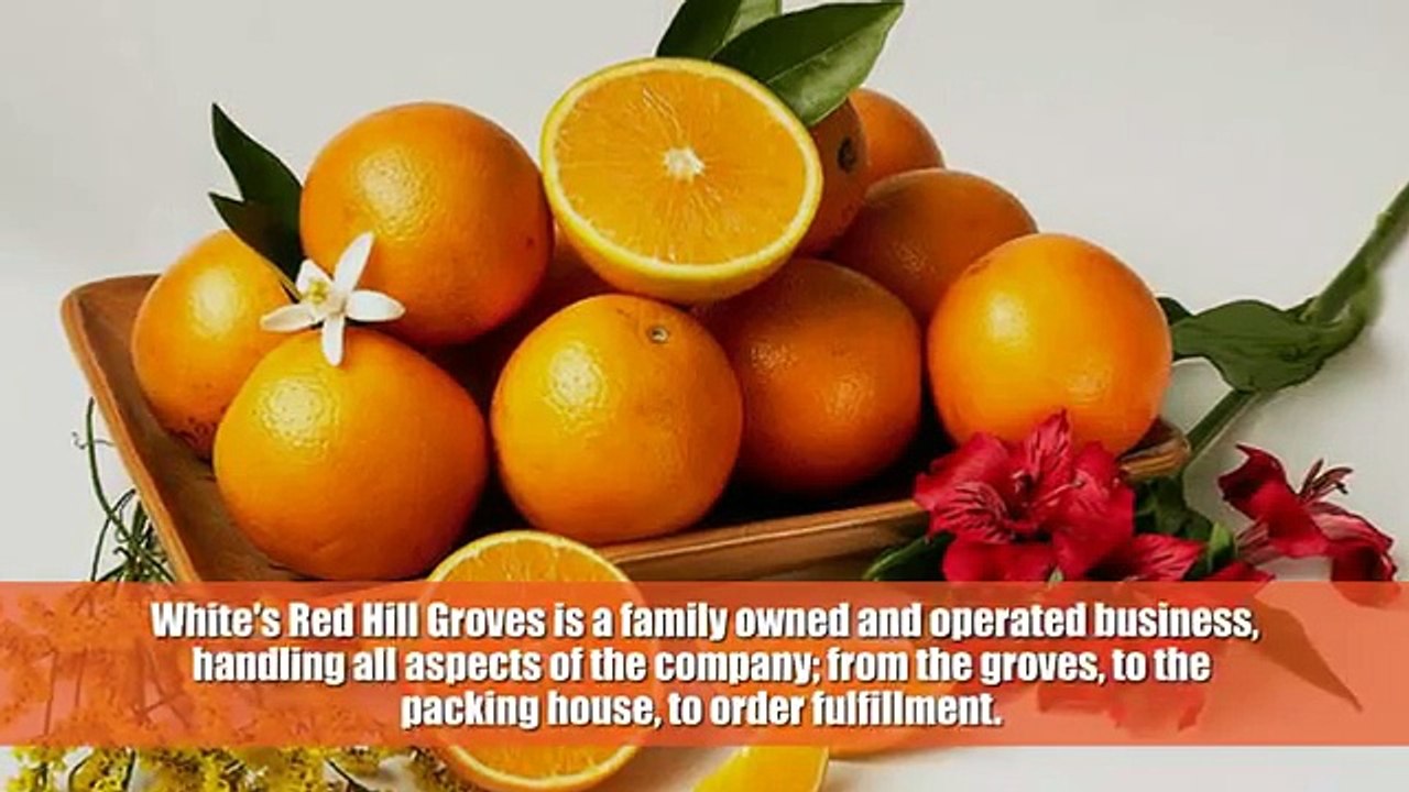 Red Hill Groves - Fresh Florida Citrus Online